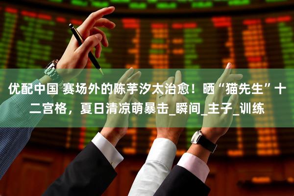 优配中国 赛场外的陈芋汐太治愈！晒“猫先生”十二宫格，夏日清凉萌暴击_瞬间_主子_训练