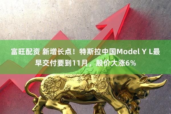 富旺配资 新增长点！特斯拉中国Model Y L最早交付要到11月，股价大涨6%
